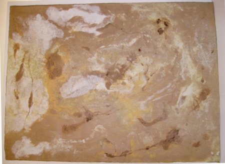 Cave Paint &copy; Seastone Papers